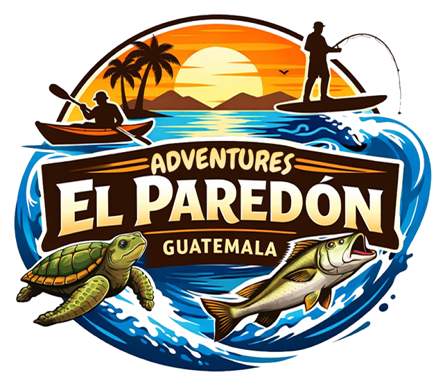 toursinelparedon.com