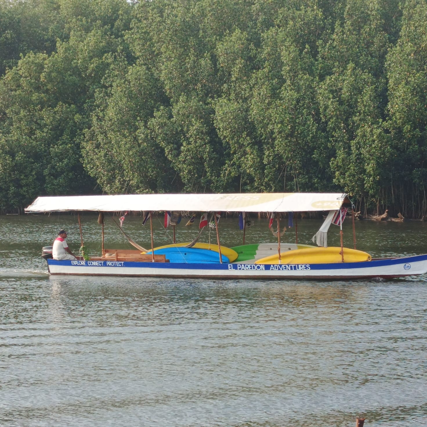 sunset-mangrove (1)